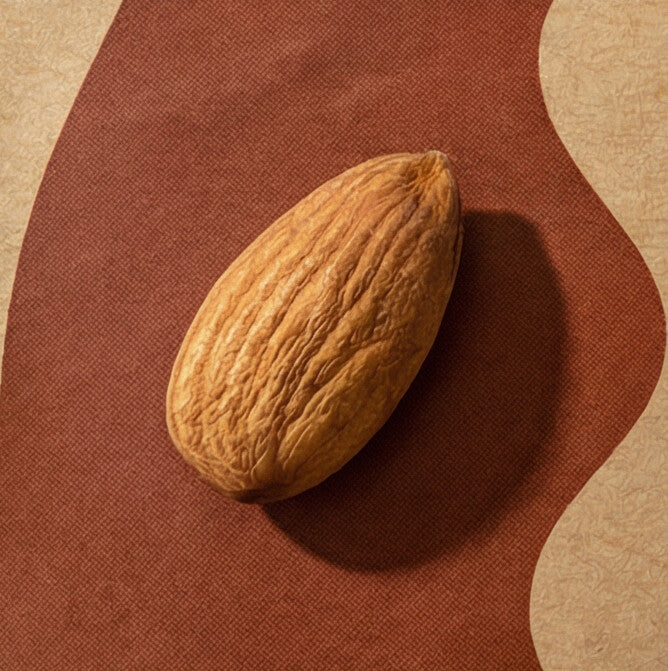 Amandes Bio - 500g